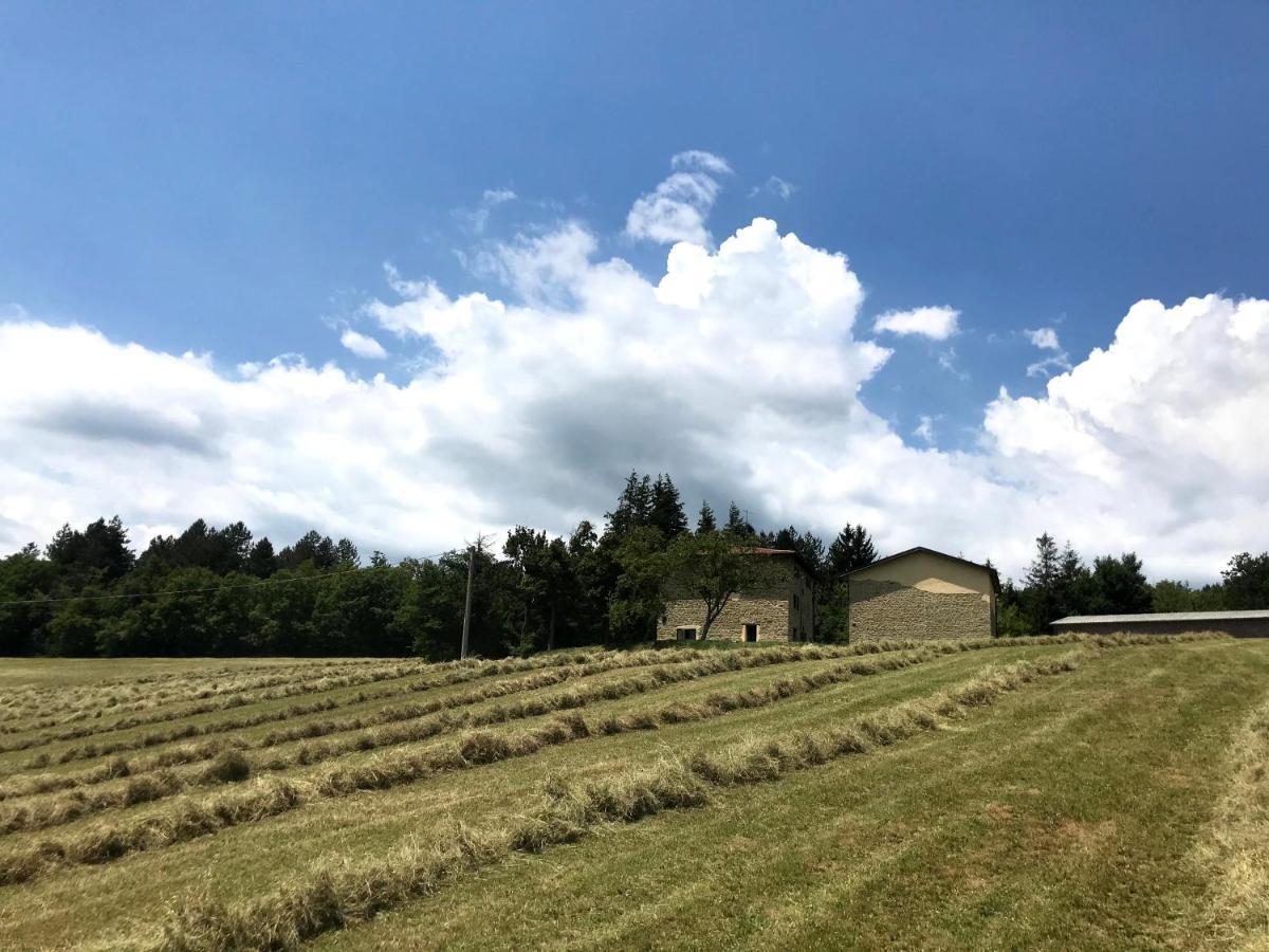 Agriturismo Il Casone San Benedetto Val di Sambro Zewnętrze zdjęcie